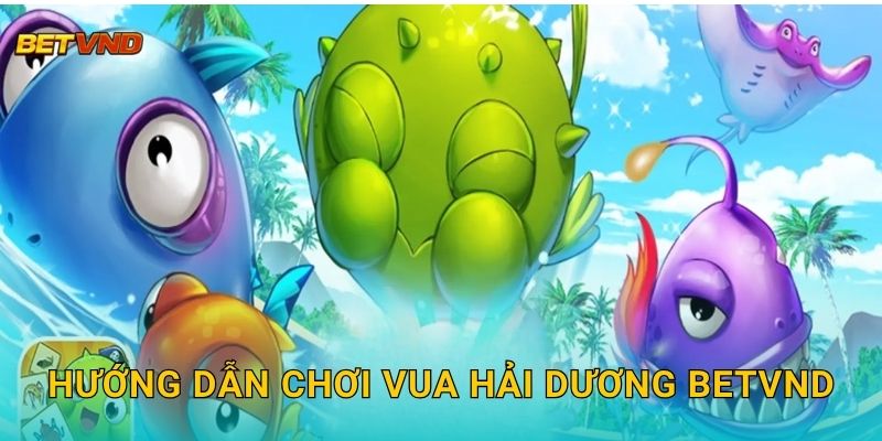 Hướng dẫn chơi Vua Hải Dương Betvnd