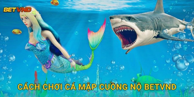 Cách chơi Cá Mập Cuồng Nộ Betvnd