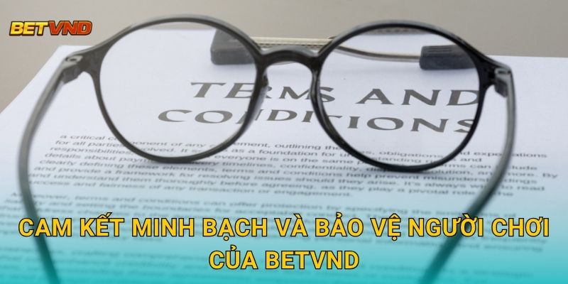 Cam kết minh bạch và bảo vệ người chơi của Betvnd