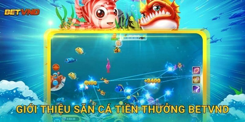 Giới thiệu Săn Cá Tiền Thưởng Betvnd