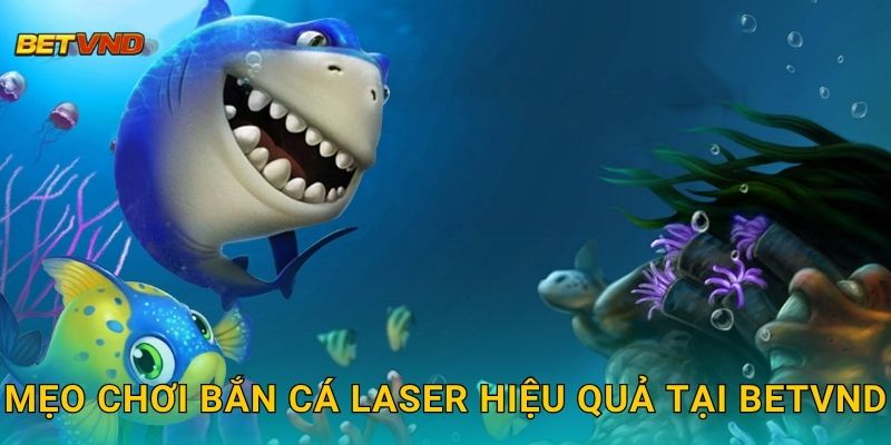 Mẹo chơi Bắn Cá Laser hiệu quả tại Betvnd