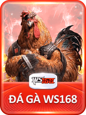 imgi 197 custom VND